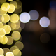 The bokeh from this lens is insane! The f/1.4 has this crazy hex bokeh. This is all bubbly and dreamy.